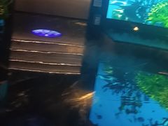 -唐宫足道·SPA·住宿24H会所(木渎店)