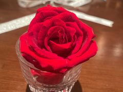 -成都娃娃花园餐厅 (南艺旗舰店)