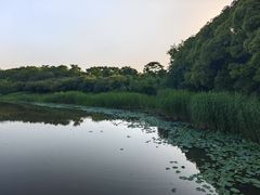 -同里国家湿地公园