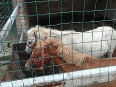 android_upload_pic-意大利农场度假村