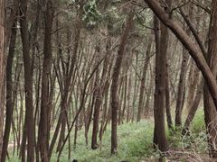 -金堂县云顶石城风景区