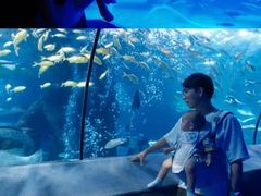 -太平洋海底世界