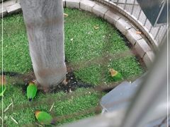 -东方时尚驾校摩托车考试场