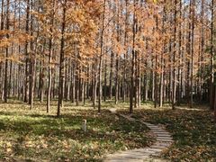 -河南省黄河迎宾馆