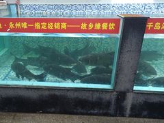 -故乡缘·香格里拉山庄(冷竹路店)