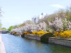 -海棠花溪(元大都城垣遗址公园)