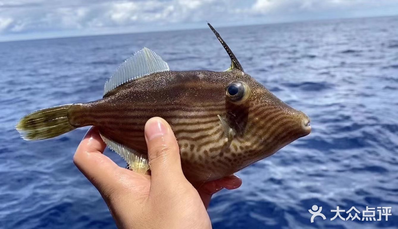 与你一起玩攒全球→小星山