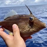 与你一起玩攒全球→小星山