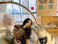 -Husky Go! 哈士奇体验馆·宠物咖啡厅狗咖