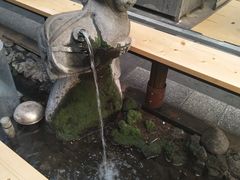 -西归浦每天偶来市场