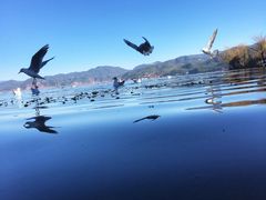 -泸沽湖里格半岛