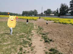 -天津武清北运河郊野公园房车露营地