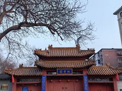 -桃花堤公园