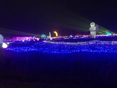 -枫林花海