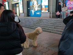 -沈阳商业城(中街路店)