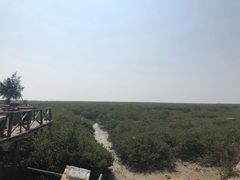 -北海金海湾红树林生态旅游区