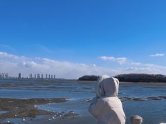 -琴岛之星摩天轮