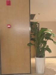 -四川米兰柏羽医学美容医院