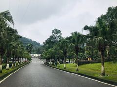 -重庆南山海昌汤都