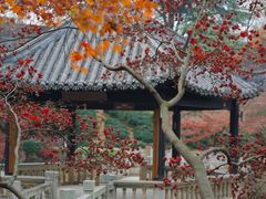 -虞山风景区