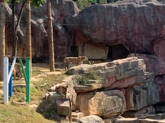 -无锡动物园·太湖欢乐园