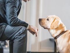 -天幕新彩云国际影城(激光巨幕店)