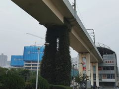 -漕溪路(地铁站)