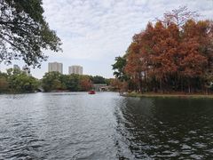 -荔湾湖公园