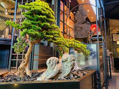-湊湊火锅·茶憩(东城万达店)