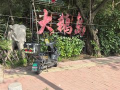 -大鹅岛绿色生态美食园