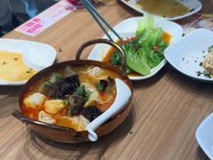 -小杨生煎(香港名都店)