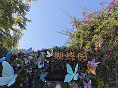 -野象谷景区