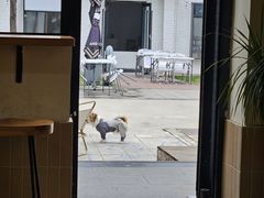 -小意思咖啡店(草桥店)