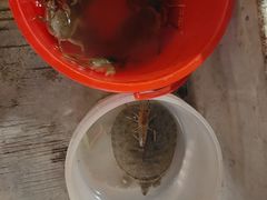 -粮心小农·大头虾亲子生态园(长发店)