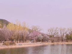 -香山公园