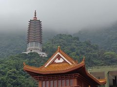 -深圳仙湖植物园
