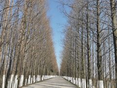 -奉贤海滩