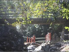-广州市流溪河国家森林公园