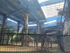 -鄂尔多斯野生动物园