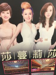 -莎蔓莉莎美容会所