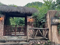 -看见远方·莫干遥远的山民宿