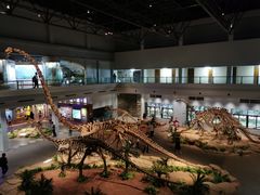 -自贡恐龙博物馆