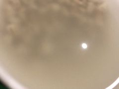 酒麸-令氏家外家周秦食府(高新店)
