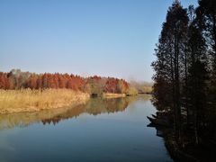 -溱湖国家湿地公园