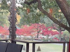 -申粤轩酒楼·三十年粤菜经典(丁香花园店)