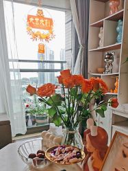 -哈颜科技轻美·