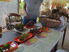 -马陆小张葡萄园农家乐