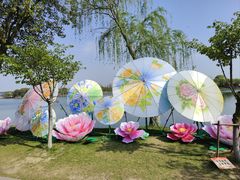 -尚湖风景区
