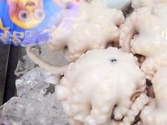 白灼章鱼-铭聚章鱼土笋冻(松柏店)