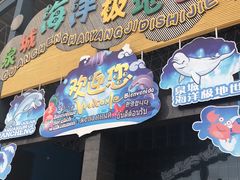-泉城欧乐堡海洋极地世界
